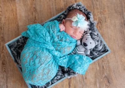 Elné Newborn – 10 days old