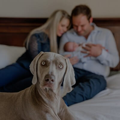 Lifestyle newborn packages